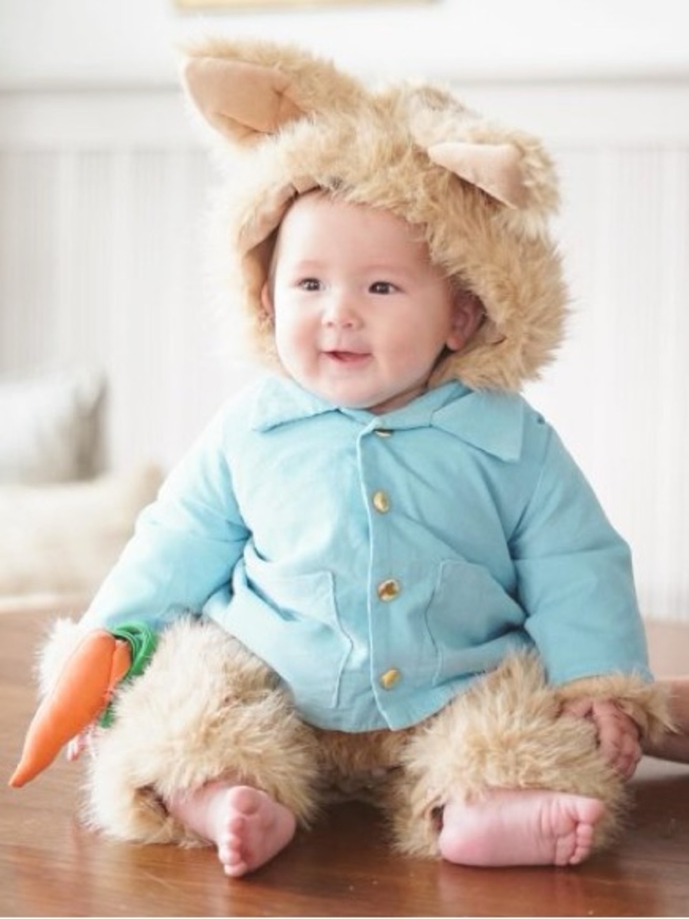 Pottery Barn - Peter Rabbit